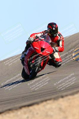 media/Feb-12-2022-SoCal Trackdays (Sat) [[3b21b94a56]]/Turn 12 (140pm)/